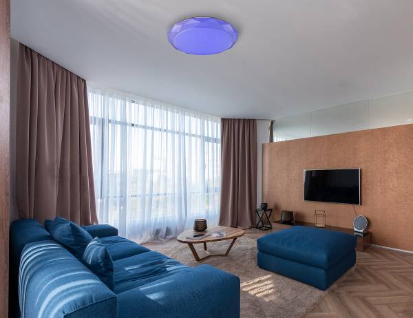 LED-Deckenleuchte Andi Acrylglas / Eisen - 2-flammig