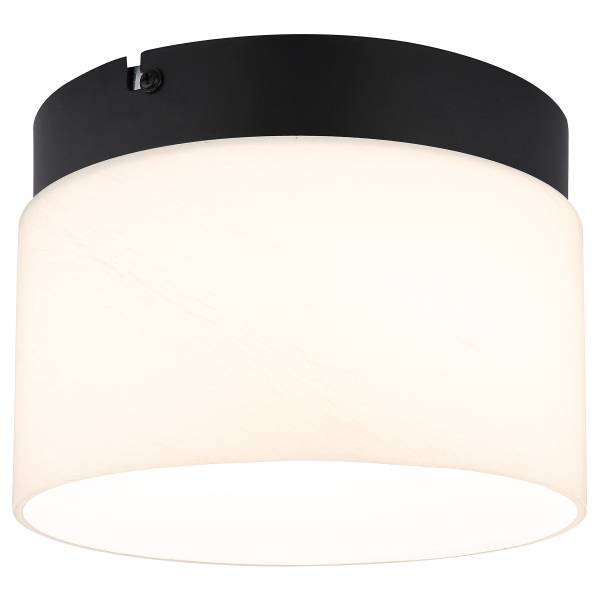 LED-Deckenleuchte Trenton Opalglas / Eisen - 1-flammig