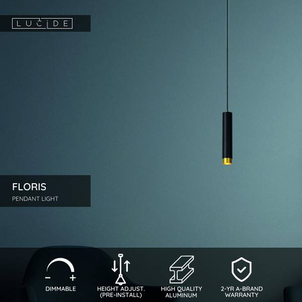 Pendelleuchte Floris Aluminium - Schwarz