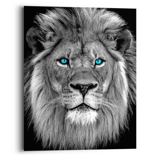 Wandbild Löwe Mit Blaue Augen MDF - Schwarz - 40 x 50 cm