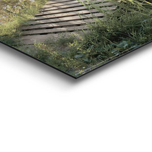 Wandbild Sonnenaufgang am See MDF - Grün - 40 x 50 cm