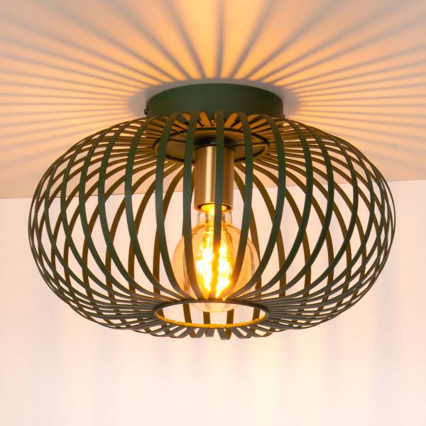 Deckenleuchte Manuela Eisen - Grün