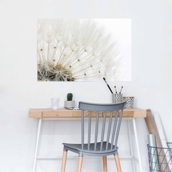 Poster Paardenbloem papier- wit - 61 x 91,5 cm