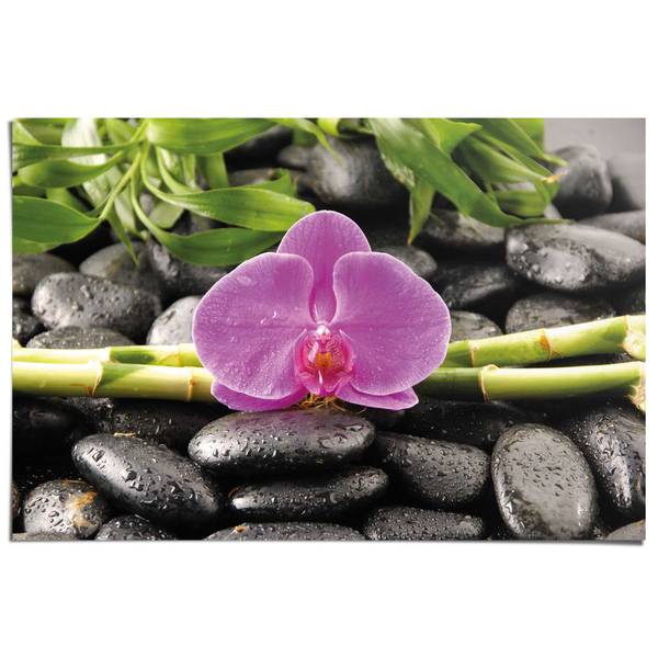 Poster Orchidee Papier - Pink - 61 x 91,5 cm