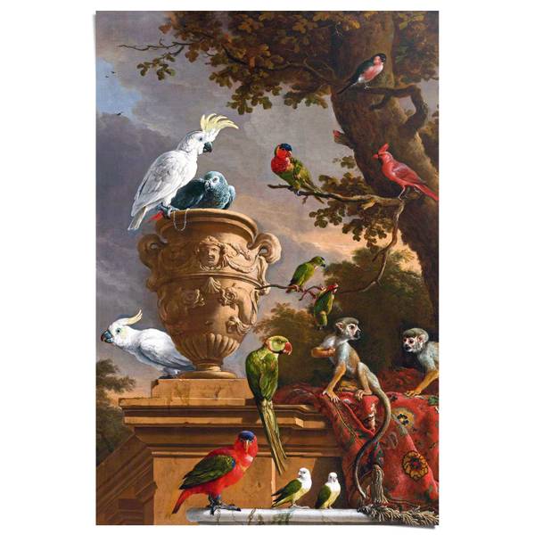 Poster d'Hondecoeter De Menagerie Papier - Mehrfarbig - 61 x 91,5 cm