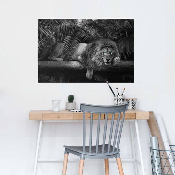 Poster Löwenblick Papier - Schwarz - 61 x 91,5 cm