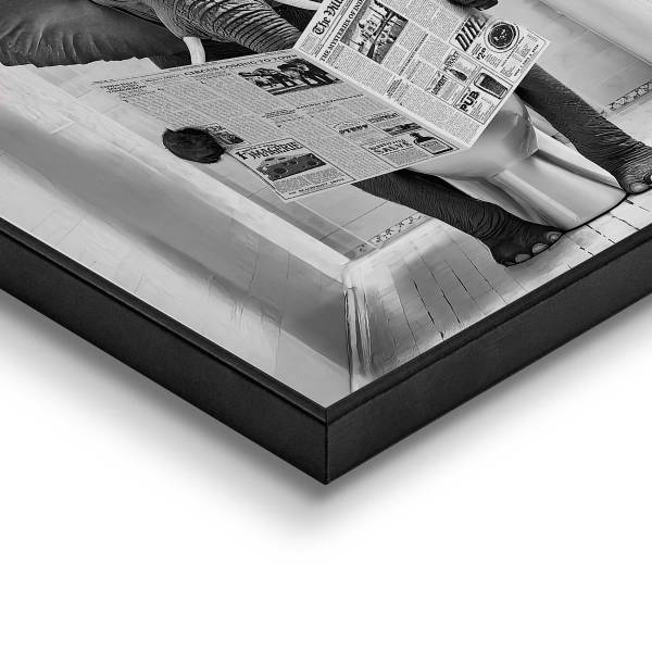 Kunstdruck Elephant Toilet MDF - Schwarz / Weiß