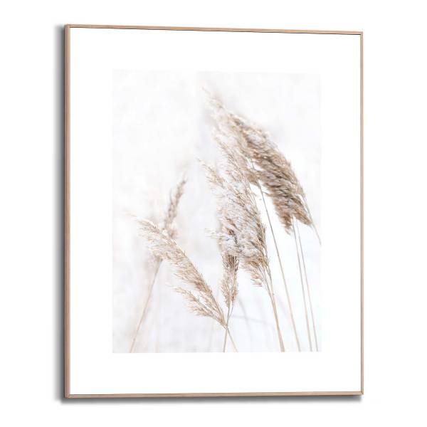 Kunstdruck Pampasgras MDF - Beige