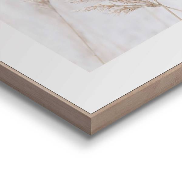 Kunstdruck Pampasgras MDF - Beige