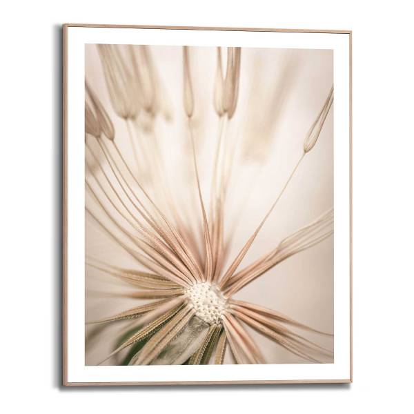 Kunstdruck Pusteblume MDF - Beige