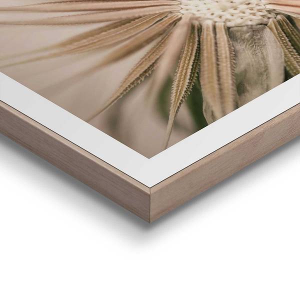 Kunstdruck Pusteblume MDF - Beige