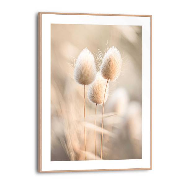 Kunstdruck Plumes MDF - Beige
