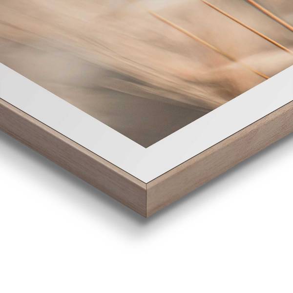 Kunstdruck Plumes MDF - Beige