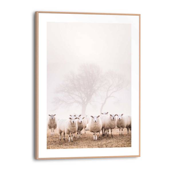 Stampa Pecora nella nebbia MDF - Beige