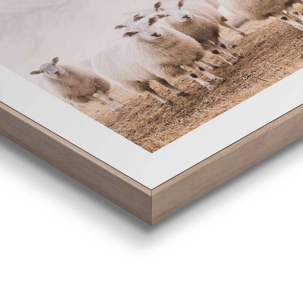 Stampa Pecora nella nebbia MDF - Beige