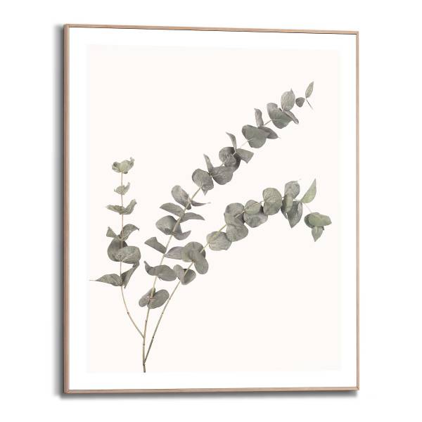 Stampa Eucalipto MDF - Verde / Beige