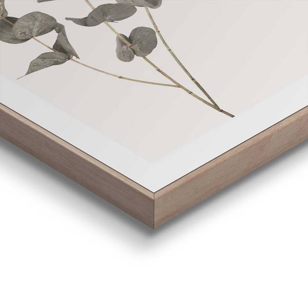 Stampa Eucalipto MDF - Verde / Beige