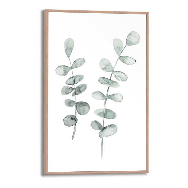 Impression Eukalyptus MDF - vert / beige