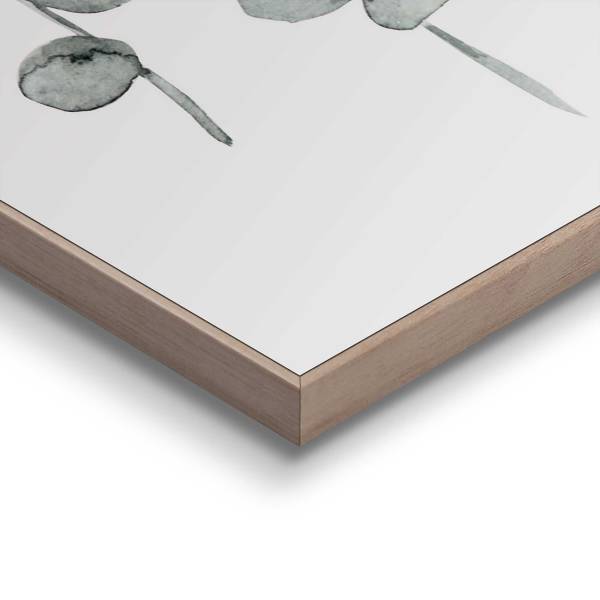 Impression Eukalyptus MDF - vert / beige