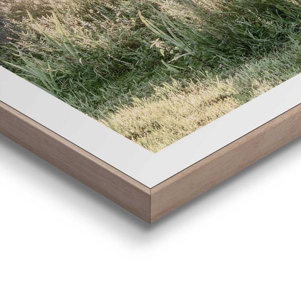 Kunstprint Nature Vibe set van 2 MDF - groen/beige