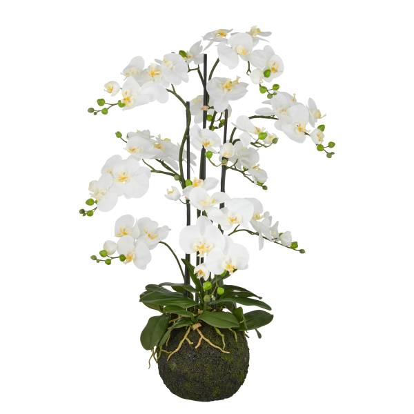 Kunstbloem Phalaenopsis type B polyetheen - groen/wit