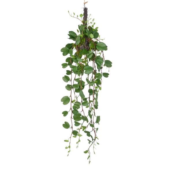 Kunstpflanze Bauhinia Typ B Polyethylen - Grün / Schwarz
