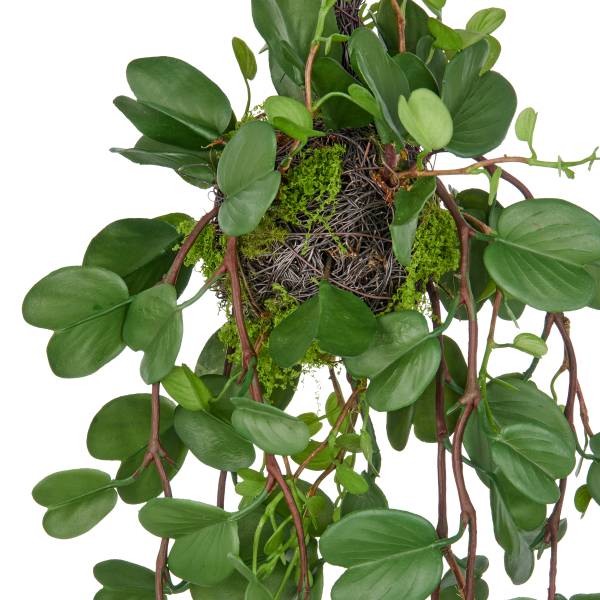 Kunstpflanze Bauhinia Typ B Polyethylen - Grün / Schwarz