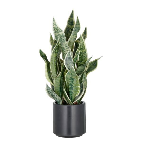 Kunstpflanze Sansevieria Typ B kaufen | home24