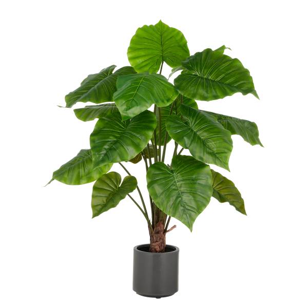 Pianta artificiale Alocasia Wentii Polietilene - Verde / Marrone