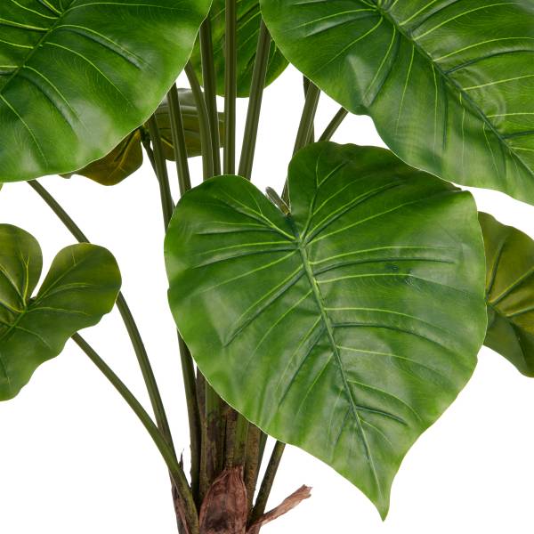 Pianta artificiale Alocasia Wentii Polietilene - Verde / Marrone