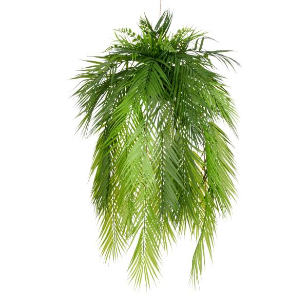Kunstpflanze Palmwedelhänger Polyethylen - Grün