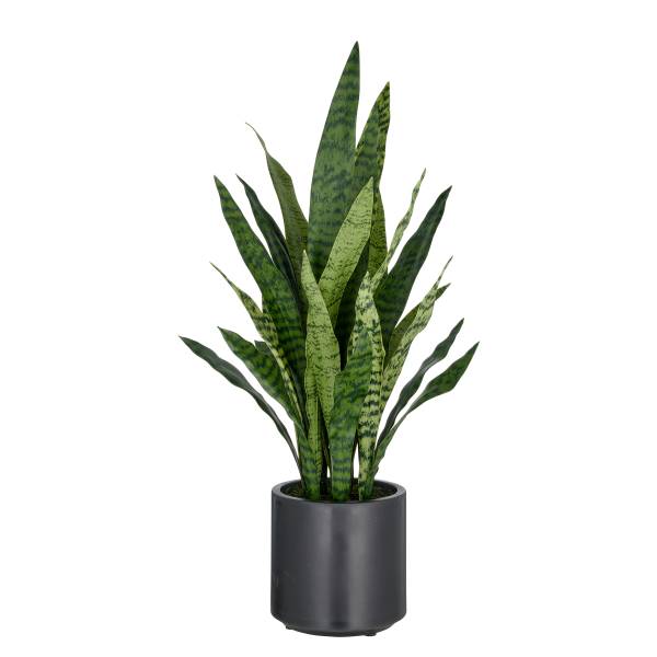 Kunstpflanze Sansevieria Typ A kaufen