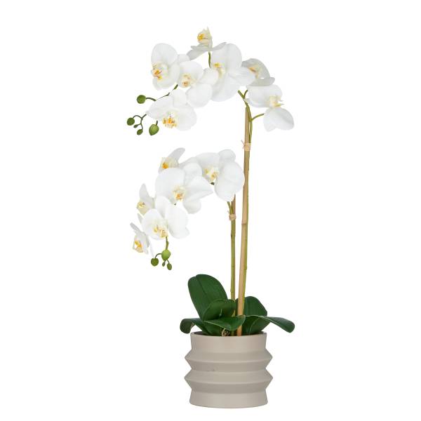 Kunstblume Phalaenopsis Typ H Polyethylen - Grün / Weiß