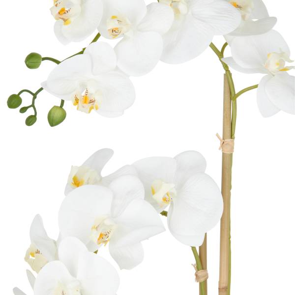 Kunstblume Phalaenopsis Typ H Polyethylen - Grün / Weiß