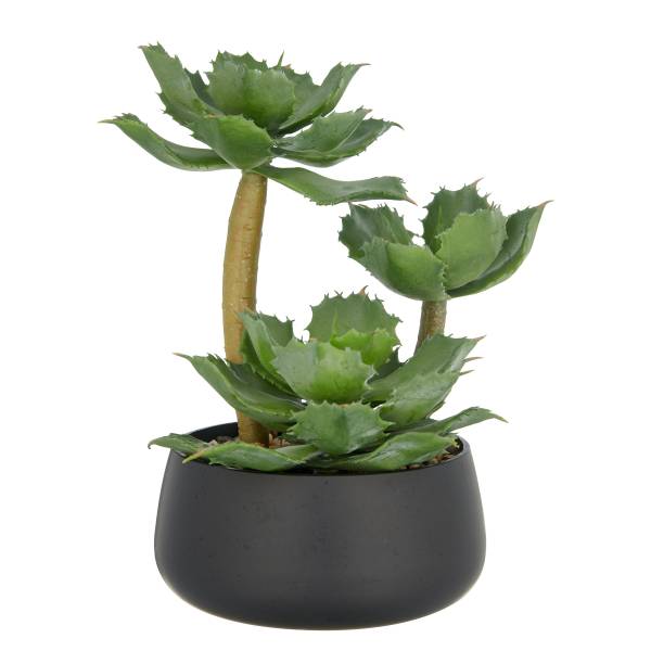 Kunstpflanze Echeveria Polyethylen - Grün / Schwarz