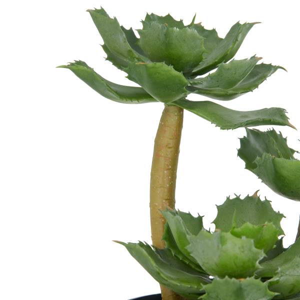 Kunstpflanze Echeveria Polyethylen - Grün / Schwarz