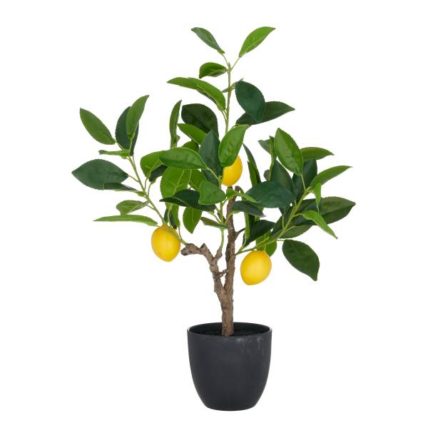 Kunstpflanze Zitronenbäumchen Polyethylen - Grün / Gelb