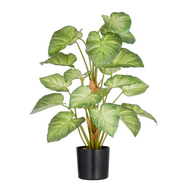 Kunstpflanze Syngonium Polyethylen - Grün / Braun - Höhe: 65 cm