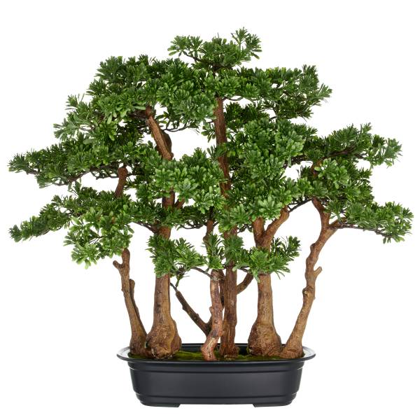 Kunstpflanze Bonsai Teeblatt kaufen