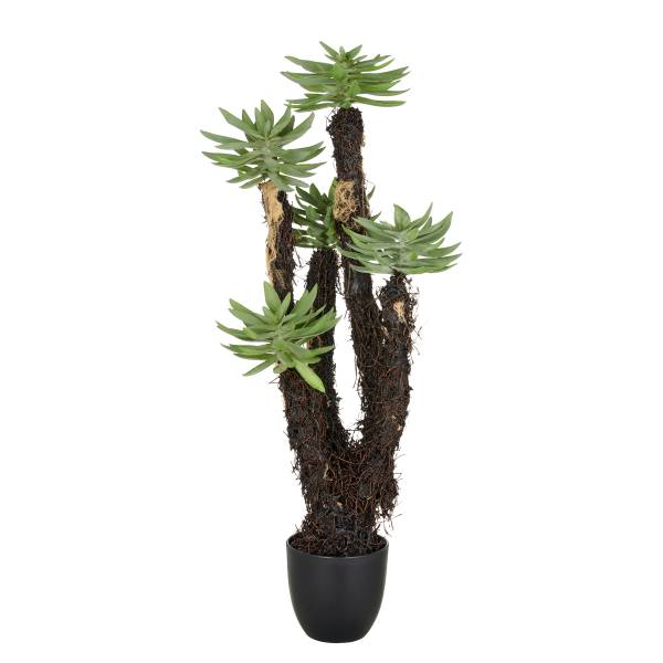 Kunstpflanze Dudleya kaufen