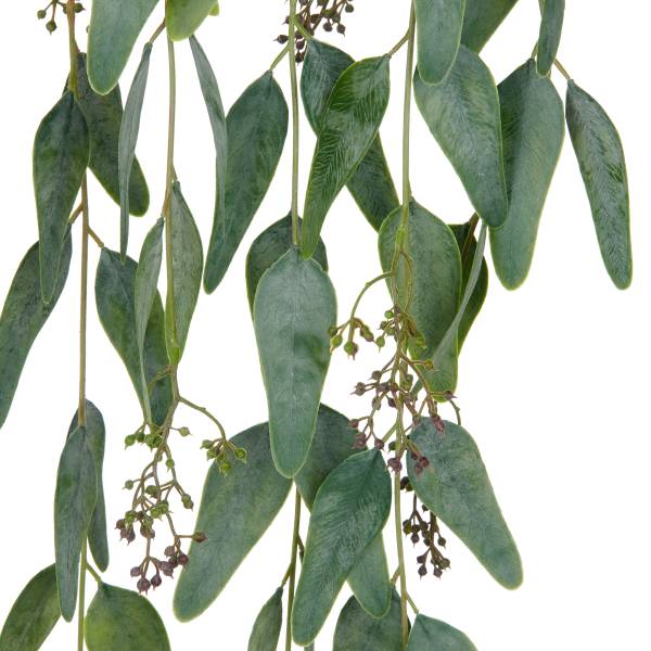 Kunstpflanze Eukalyptus mit Früchten Polyethylen - Graugrün