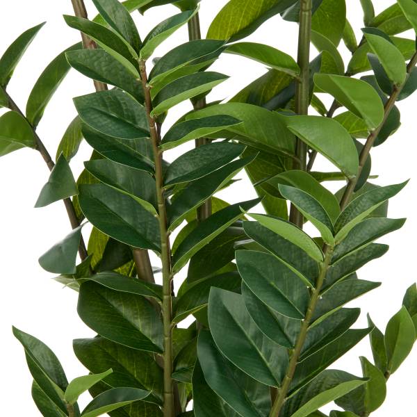 Kunstpflanze Zamifolia Polyethylen - Grün / Schwarz - Höhe: 110 cm