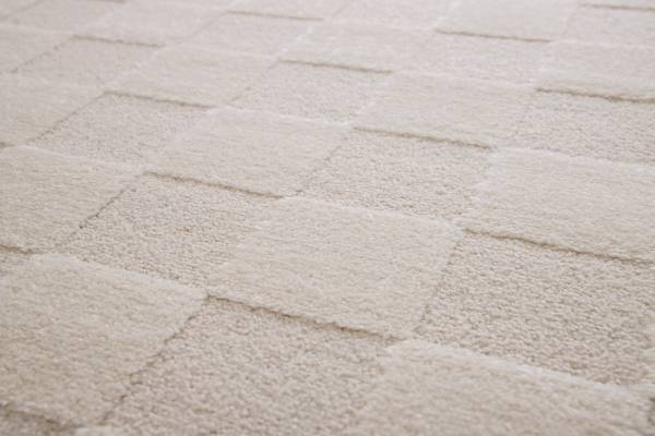 Kurzflorteppich Arina Polypropylen / Polyester - Creme - 200 x 290 cm