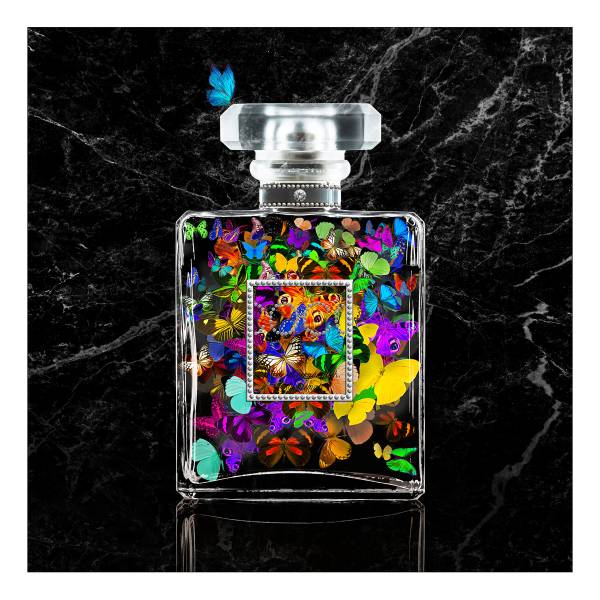 Glasbild Essences Typ B Klarglas - Mehrfarbig
