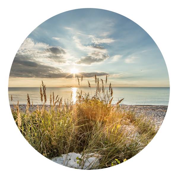 Quadro di vetro Wilder Strand rotondo A Vetro - Multicolore