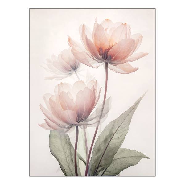 Quadro di vetro Transparent Flowers A Vetro - Multicolore
