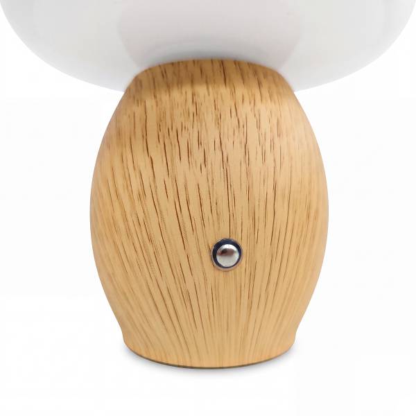 Lampada da tavolo Anero Ferro / Vetro opale - 1 punto luce