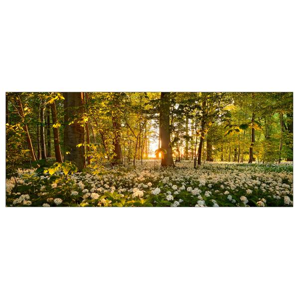 Tableau verre Sweet woodruff Vert - Blanc - Jaune - Verre clair - 125 x 50 x 1.4 cm