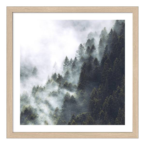 Holzbild Foggy Trees Typ A Klarglas / MDF - Grün / Beige