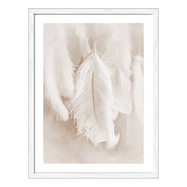 Holzbild The Feather Klarglas / MDF - Beige / Weiß